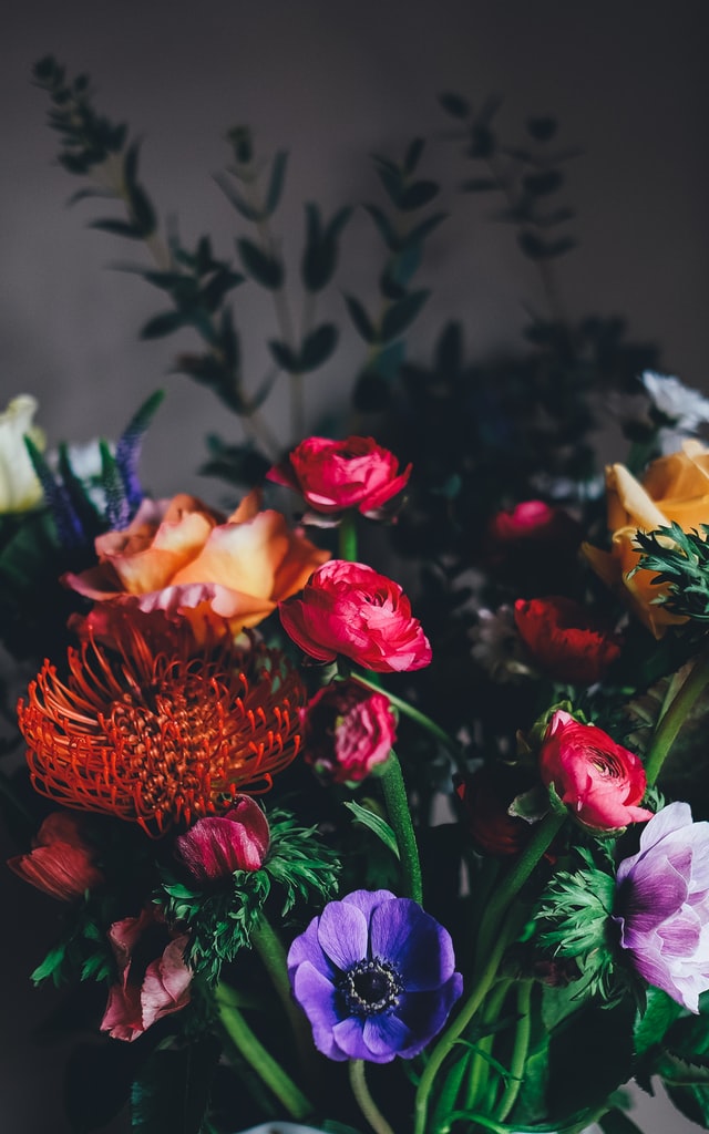 Shogun Flowers